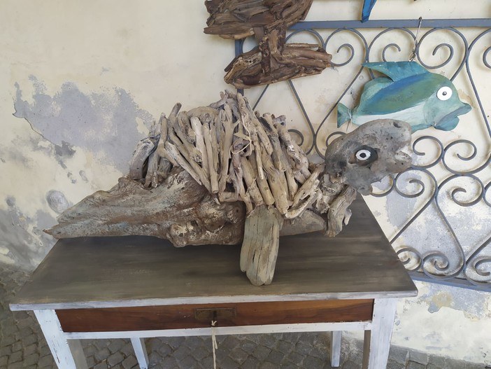 Quattro esemplari di tartaruga 'Caretta Caretta' tornano in mare dopo le cure ricevute all’Acquario di Genova
