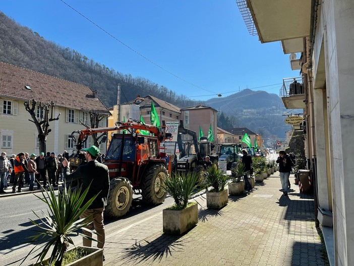 50 trattori in strada a Rossiglione, per Cia si teme effetto valanga dopo la peste suina