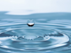 H2O Contest Acqua, idee e soluzioni per un futuro più sostenibile: in palio quattro premi da 5mila euro H2O Contest Acqua, idee e soluzioni per un futuro più sostenibile: in palio quattro premi da 5mila euro