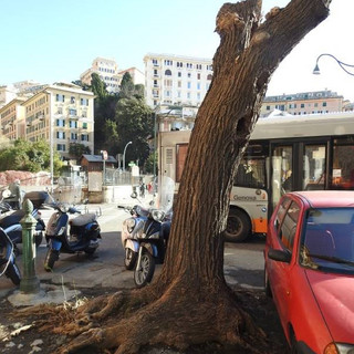 Partiti i lavori di riqualificazione di corso Paganini