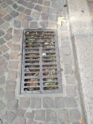 Allagamenti a Sampierdarena, il presidente del municipio Colnaghi: "I tombini non potevano reggere le piogge"