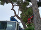 Foto Facebook Paolo Vanni