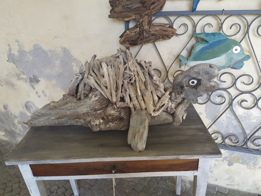 Quattro esemplari di tartaruga 'Caretta Caretta' tornano in mare dopo le cure ricevute all’Acquario di Genova