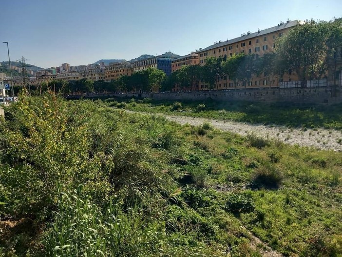 Valbisagno: incuria dei torrenti, la minoranza interroga il Municipio