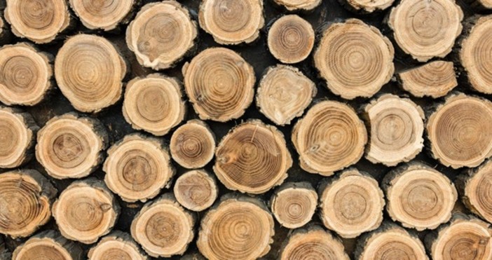 Case di tronchi in legno per tutto l'anno: come installarne una?