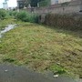 Torrenti, manutenzione in tutta la città: oltre 2 milioni per preparare Genova alle piogge autunnali Torrenti, manutenzione in tutta la città: oltre 2 milioni per preparare Genova alle piogge autunnali