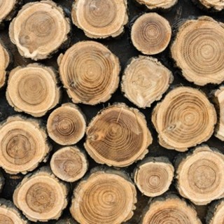 Case di tronchi in legno per tutto l'anno: come installarne una?