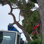 Foto Facebook Paolo Vanni