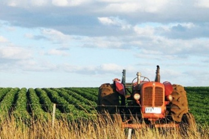 Intesa tra Regione e sistema camerale per tutelare le produzioni agricole, ittiche ed agroalimentari liguri Intesa tra Regione e sistema camerale per tutelare le produzioni agricole, ittiche ed agroalimentari liguri
