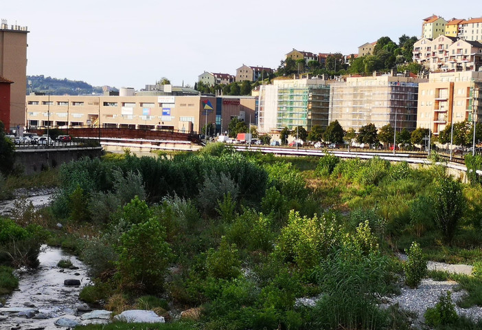 Pulizia degli argini: “Troppa vegetazione pericolosa nel torrente Polcevera” (Video) Pulizia degli argini: “Troppa vegetazione pericolosa nel torrente Polcevera” (Video)