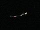 Genova, avvistamento Ufo. Cufom: &quot;Merita attenzione&quot; (video)