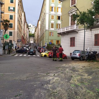 Maltempo, alberi caduti e strade chiuse, pomeriggio di interventi di vigili del fuoco e polizia locale (Video)