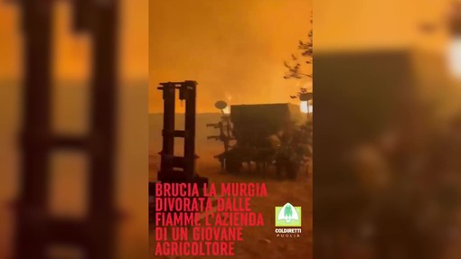 Incendio distrugge azienda agricola in Puglia, la disperazione dell'agricoltore Incendio distrugge azienda agricola in Puglia, la disperazione dell'agricoltore