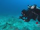 Clima, mare caldo fino a 40 metri di profondità Clima, mare caldo fino a 40 metri di profondità