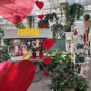 A San Valentino la Liguria si riempie di cuori tra fiori, piante e agriturismi