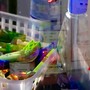 Sostenibilità, dal 12/8 il nuovo Regolamento europeo sugli imballaggi in plastica: cosa cambia