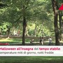 Meteo stabile ad Halloween, temperature miti e piogge al sud Meteo stabile ad Halloween, temperature miti e piogge al sud