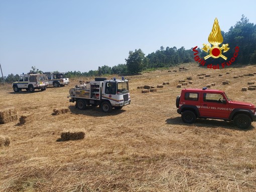 Riprende vigore l'incendio boschivo all'Acquasanta, tornano i Vigili del Fuoco Riprende vigore l'incendio boschivo all'Acquasanta, tornano i Vigili del Fuoco