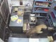 India, un leopardo irrompe in un negozio di liquori e aggredisce il cassiere India, un leopardo irrompe in un negozio di liquori e aggredisce il cassiere