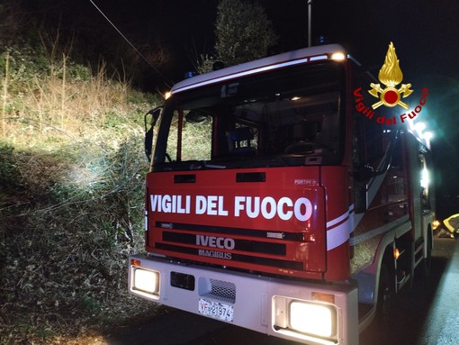 Foto d'archivio Foto d'archivio