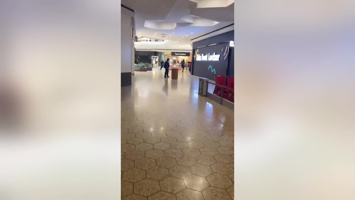 Paura in Usa, spari in un centro commerciale in Michigan: il video delle persone in fuga