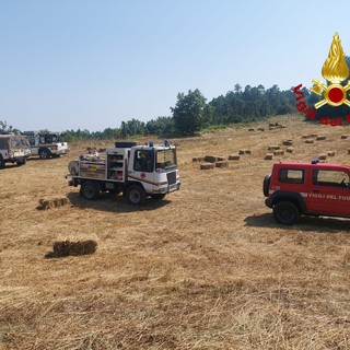 Riprende vigore l'incendio boschivo all'Acquasanta, tornano i Vigili del Fuoco Riprende vigore l'incendio boschivo all'Acquasanta, tornano i Vigili del Fuoco