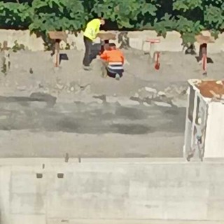 Certosa, Pastorino (Lista Orlando): “Rumori e polveri in via Castelluccio. Preoccupazioni per la salute dei residenti” Certosa, Pastorino (Lista Orlando): “Rumori e polveri in via Castelluccio. Preoccupazioni per la salute dei residenti”