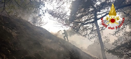 Quezzi, incendio nei boschi dietro al Biscione Quezzi, incendio nei boschi dietro al Biscione