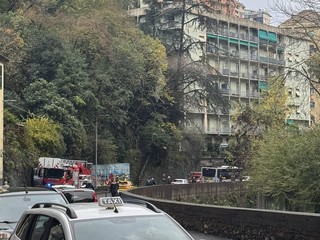 Foto di Ivan Salvador