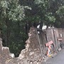 Frana a Struppa, via alla Chiesa di San Siro resta chiusa: "Mancano i fondi per i lavori" Frana a Struppa, via alla Chiesa di San Siro resta chiusa: "Mancano i fondi per i lavori"