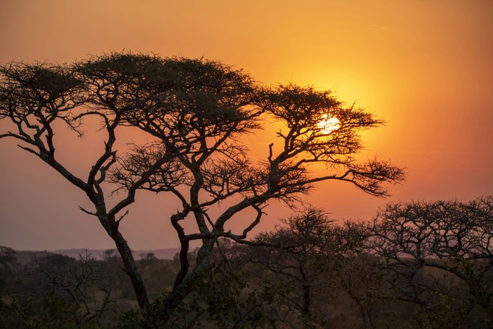 Dune, Deserti e Savana: Perché la Namibia È Una delle Mete Più Affascinanti del Mondo Dune, Deserti e Savana: Perché la Namibia È Una delle Mete Più Affascinanti del Mondo