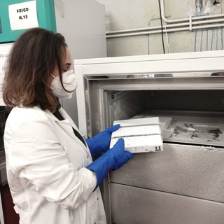 Coronavirus sabato 11-4-21