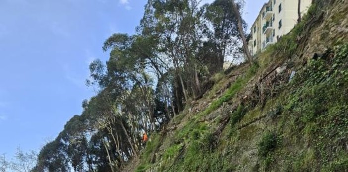 Sant’Eusebio, messa in sicurezza della scarpata tra via Terpi e piazzale Bligny Sant’Eusebio, messa in sicurezza della scarpata tra via Terpi e piazzale Bligny