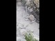 Terremoto a Pozzuoli, il costone crolla e travolge le auto Terremoto a Pozzuoli, il costone crolla e travolge le auto