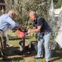 A Pontida il tributo a Bossi: Calderoli e Leoni piantano un ulivo e cantano 'Va pensiero' A Pontida il tributo a Bossi: Calderoli e Leoni piantano un ulivo e cantano 'Va pensiero'