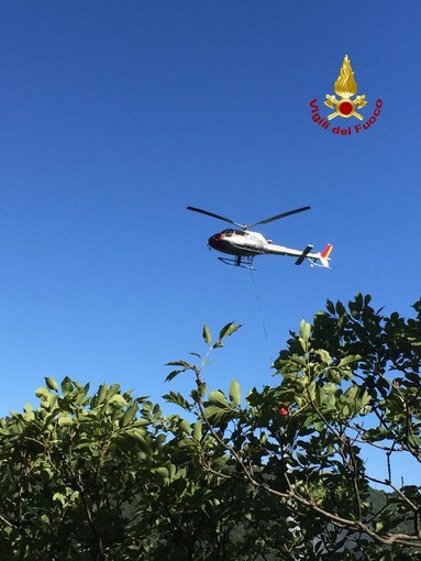 Rogo boschivo a Voltri, vigili del fuoco in azione in zona Canellona (VIDEO)