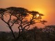 Dune, Deserti e Savana: Perché la Namibia È Una delle Mete Più Affascinanti del Mondo Dune, Deserti e Savana: Perché la Namibia È Una delle Mete Più Affascinanti del Mondo