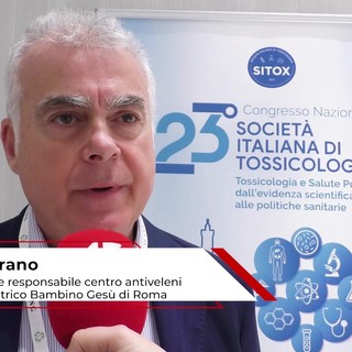 Estate: tossicologo Marano, 'morso di vipera raro, ma pericoloso per i bambini' Estate: tossicologo Marano, 'morso di vipera raro, ma pericoloso per i bambini'