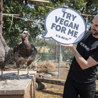 31 giorni senza carne, latte e uova: è cominciata la sfida di 'Veganuary' per il 2023