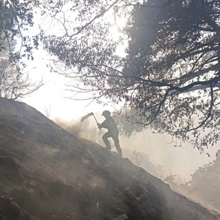 Quezzi, incendio nei boschi dietro al Biscione Quezzi, incendio nei boschi dietro al Biscione