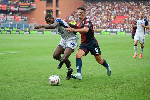 Malinovskyi-Vitinha per rilanciarsi, a Venezia il Genoa riparte dalla qualità Malinovskyi-Vitinha per rilanciarsi, a Venezia il Genoa riparte dalla qualità