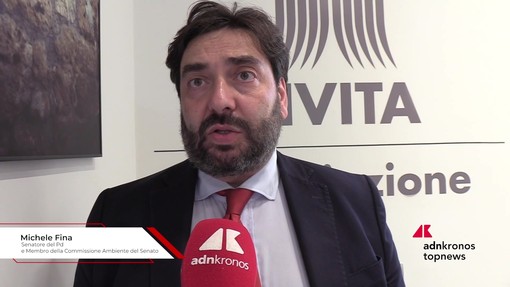 SAF, Fina (Pd): "Serve vera politica industriale"