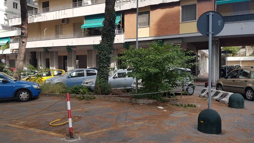 Confesercenti, Marchi: "Degrado in Via Gherzi,a quando un intervento?"