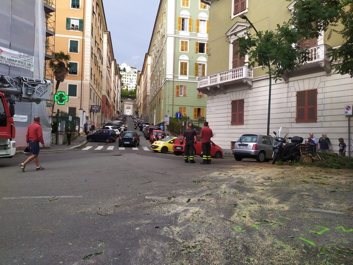 Maltempo, alberi caduti e strade chiuse, pomeriggio di interventi di vigili del fuoco e polizia locale (Video)