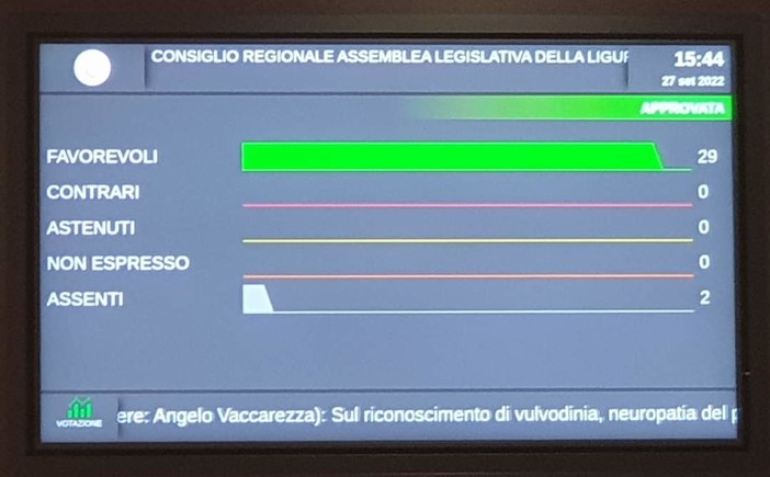 Vulvodinia, neuropatia del pudendo e fibromialgia malattie croniche e invalidanti: riconosciute in Consiglio Regionale