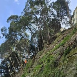 Sant’Eusebio, messa in sicurezza della scarpata tra via Terpi e piazzale Bligny