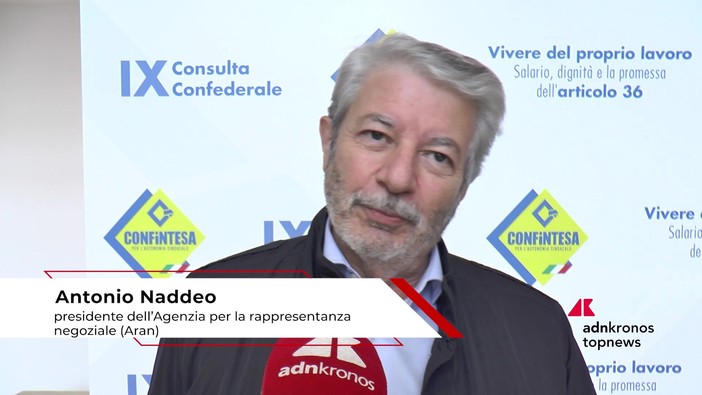 Lavoro, Naddeo (Aran): "A Confintesa interessante dibattito su salario giusto" Lavoro, Naddeo (Aran): "A Confintesa interessante dibattito su salario giusto"