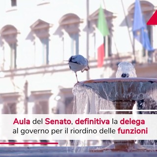 Polizia locale, ok Senato in via definitiva a delega a governo