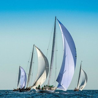 Salone Nautico, Bucci: "A Genova la finale della Ocean Race 2022" Salone Nautico, Bucci: "A Genova la finale della Ocean Race 2022"