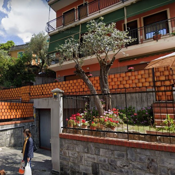 Quinto, pini abbattuti e sostituiti con due ulivi, il Tar dà ragione al Comune: "Dovevano essere tagliati" Quinto, pini abbattuti e sostituiti con due ulivi, il Tar dà ragione al Comune: "Dovevano essere tagliati"